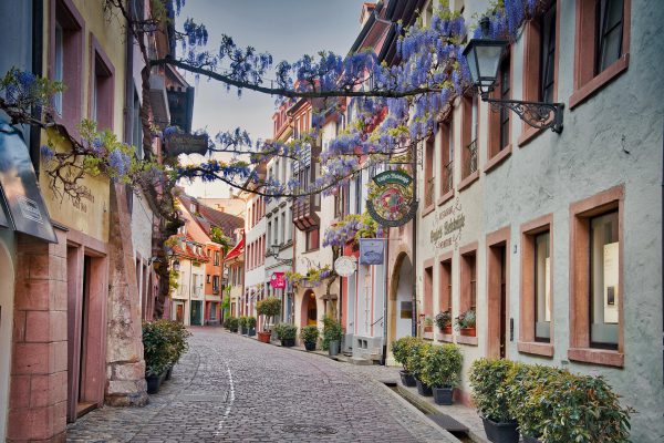 hausverwaltung freiburg